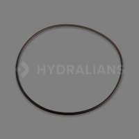 HAYWARD - Joint de corps ondina | HYDRALIANS