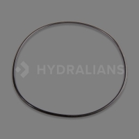 HAYWARD - Joint de corps ks | HYDRALIANS