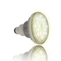 CCEI - Projecteur led mid brio blanc | HYDRALIANS